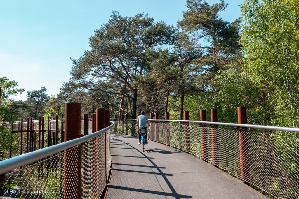 Fietsen door de Bomen in Nationaal Park Bosland