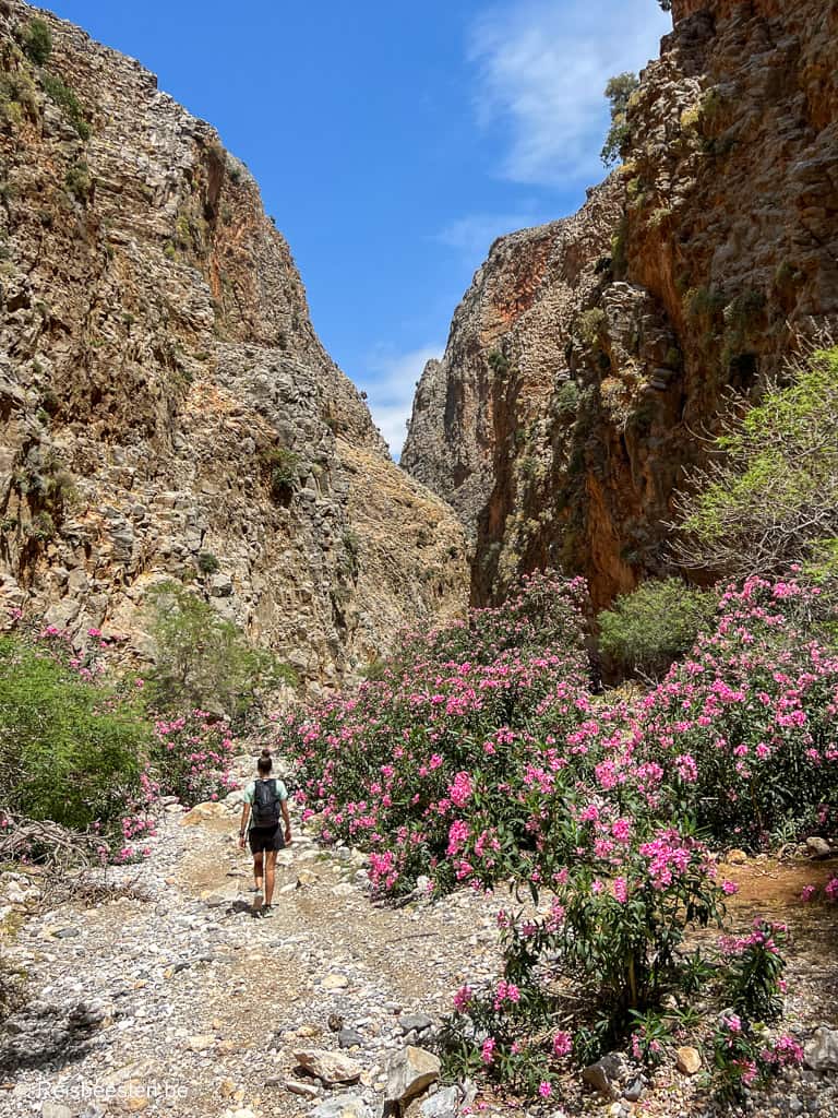 De Aradena-kloof op Kreta in Griekenland bezoeken