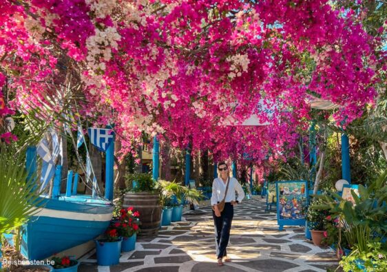 waarom Sissi op Kreta bezoeken + wat te doen: Palm Bay straat bloemen