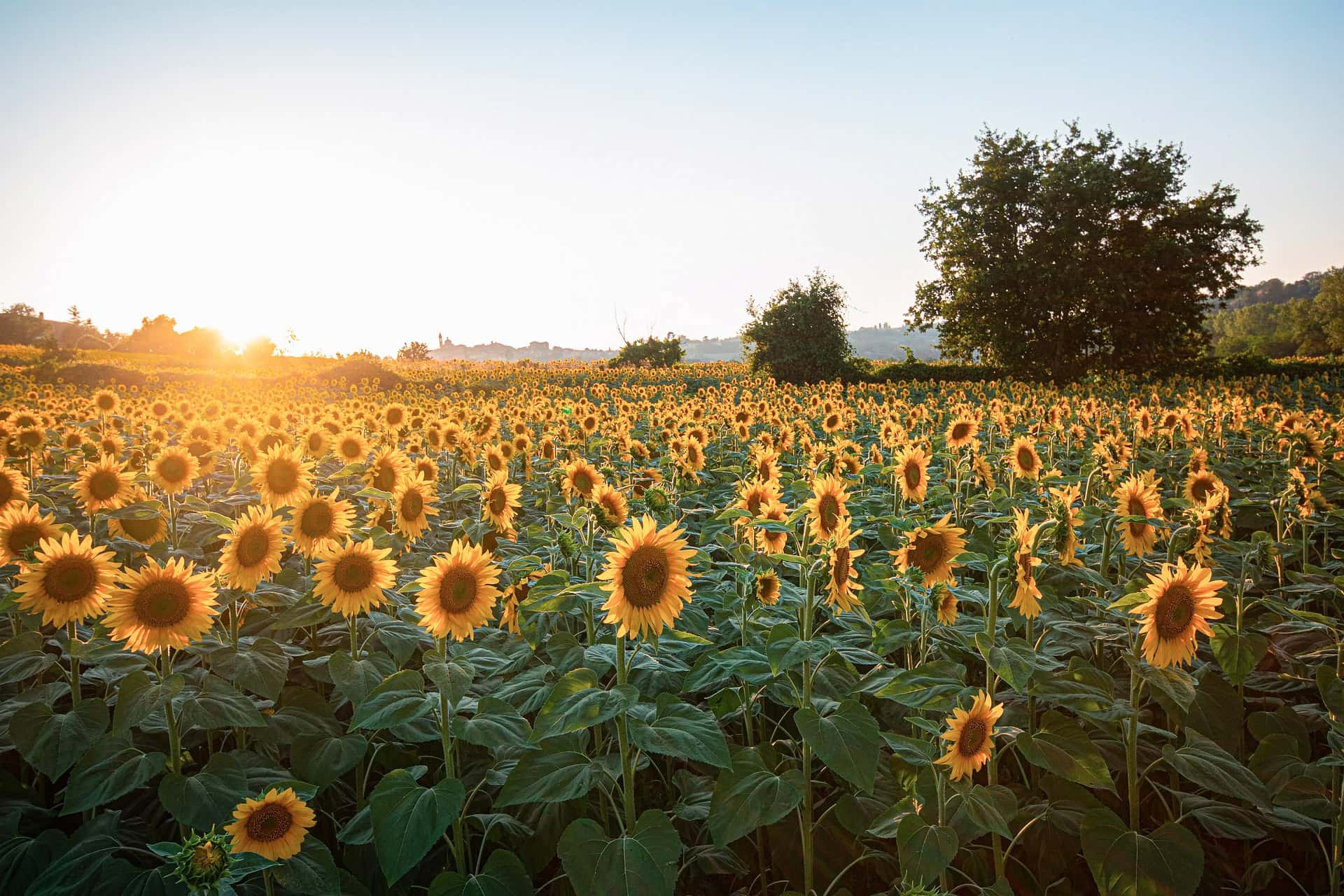 Zomerse droomvakantie in Zuid-Frankrijk langs de Route du Soleil