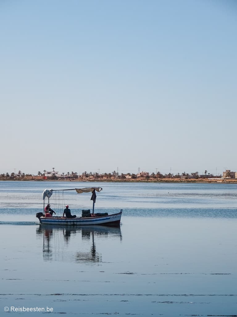 Rondreis Zuid-Tunesië hoogtepunten: Djerba