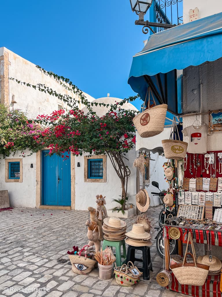 Rondreis Zuid-Tunesië hoogtepunten: Djerba