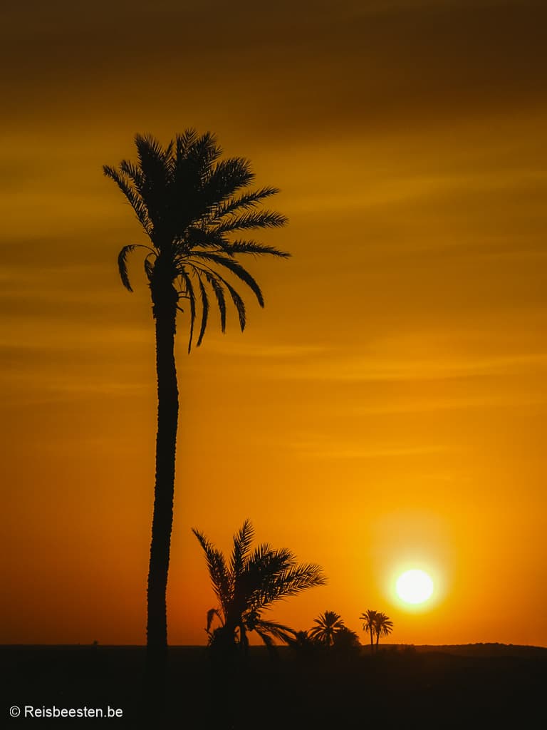 Rondreis Zuid-Tunesië hoogtepunten: Douz zonsopgang