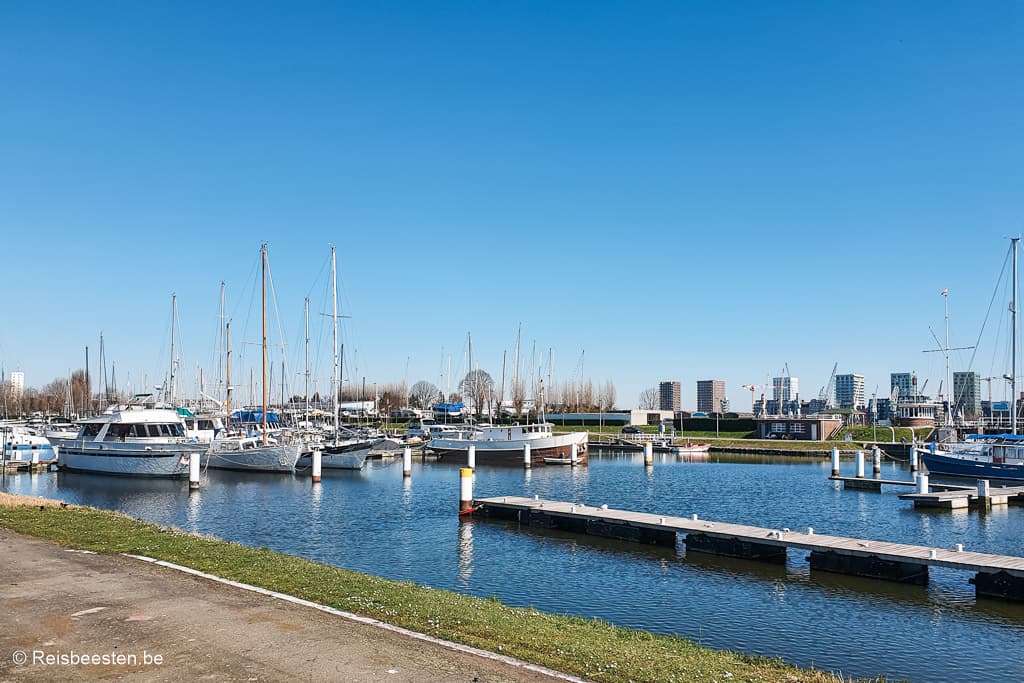 wat te doen op Linkeroever in Antwerpen: Jachthaven boten