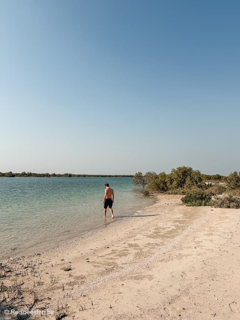 Abu Dhabi (Verenigde Arabische Emiraten) & tips om te doen: speedboot tocht Yas Island
