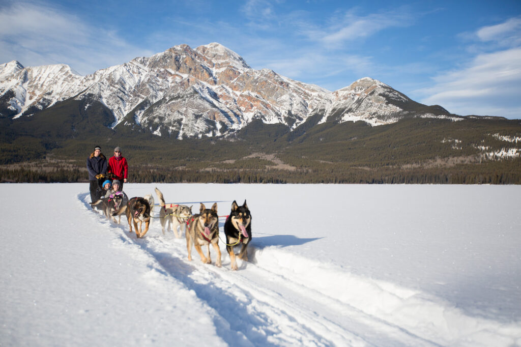 leuke winteractiviteiten in Jasper National Park: hondenslee