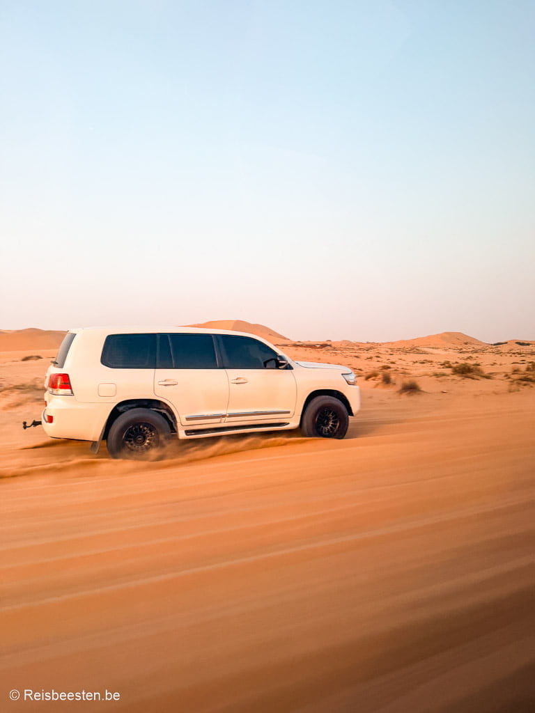 Woestijnsafari in Abu Dhabi: onze tips & ervaring