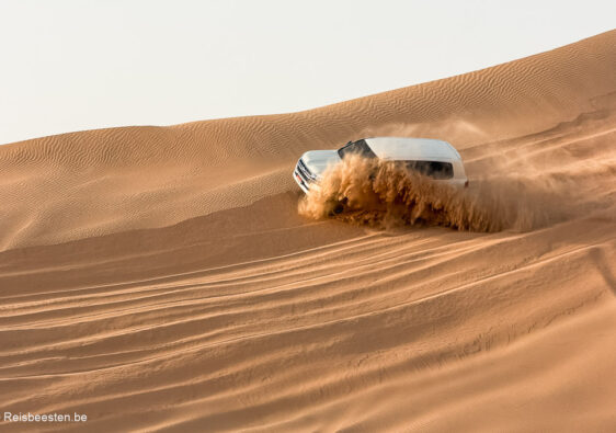 Woestijnsafari in Abu Dhabi: onze tips & ervaring