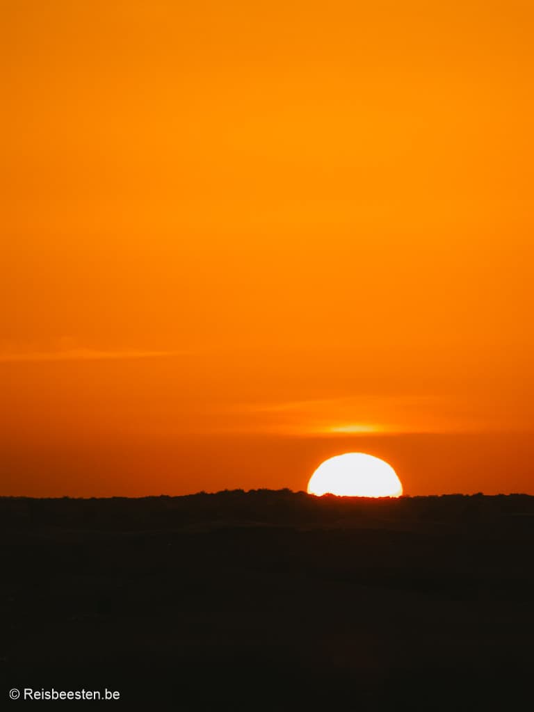 Douz zonsopgang woestijn