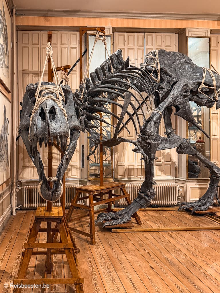 Culturele citytrip Amsterdam Nederland: musea & restauranttips: Art Zoo museum