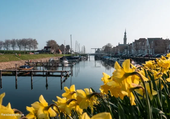 Onze 4-daagse riviercruise van Antwerpen naar Nederland: Veere Zeeland haven