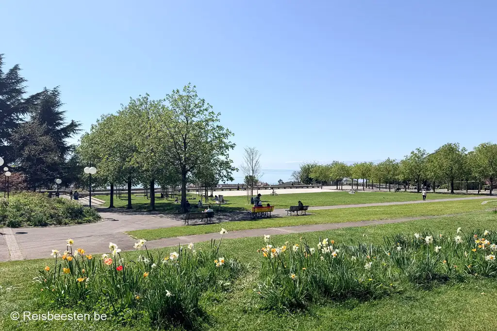 Esplanade de Montbenon park: ons favoriete park in Lausanne