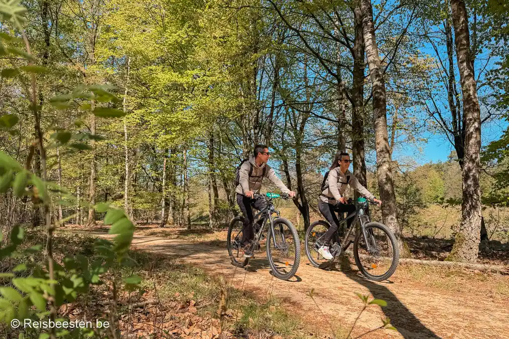 mooiste fietsroutes in het Nationaal Park de Meinweg in Limburg in Nederland