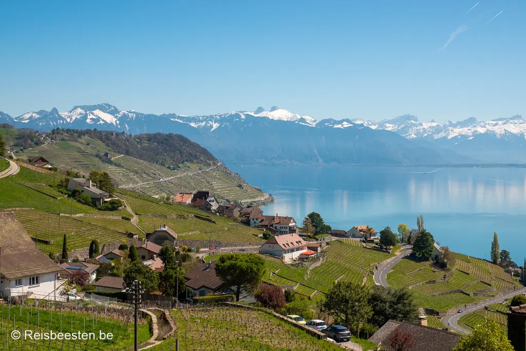 Dagtrips Lausanne, Zwitserland: Lavaux wijngaardterrassen