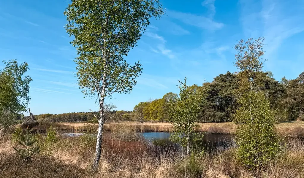 Nationaal Park de Meinweg