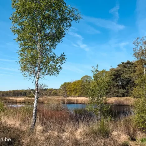 Roadtrip Tsjechië: 10 tips & route voor onontdekt Bohemen