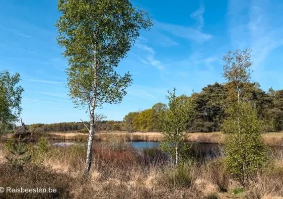 Nationaal Park de Meinweg