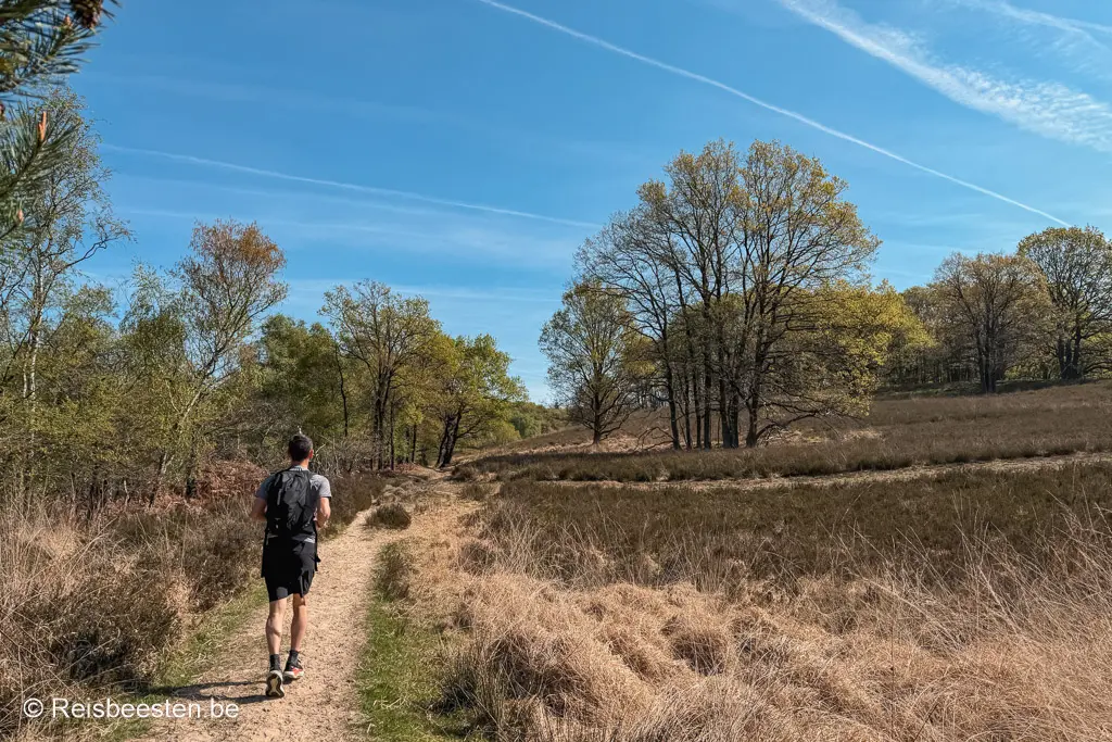 mooiste wandelroutes en trailruns in het Nationaal Park de Meinweg in Limburg in Nederland