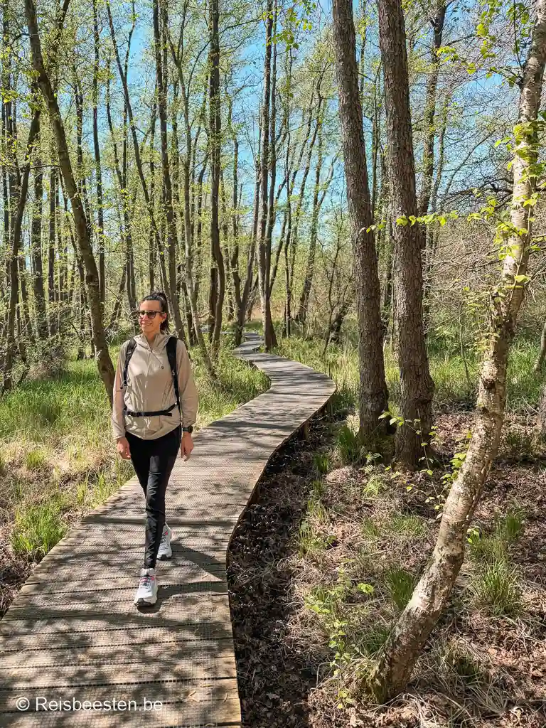 mooiste wandelroutes en trailruns in het Nationaal Park de Meinweg in Limburg in Nederland: Vlodorp vlonderpad