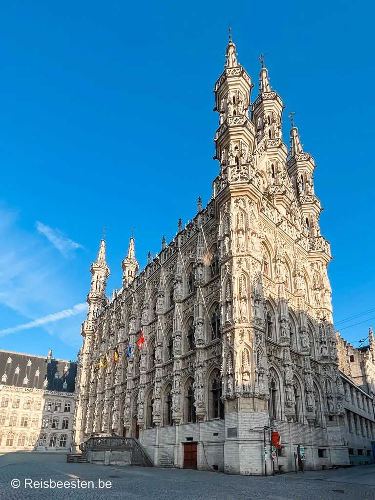 Top mooiste steden van België: onze favorieten & tips: Leuven Grote Markt