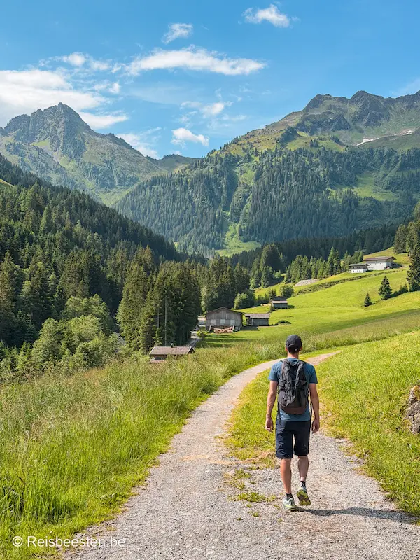 Inneralpbach Böglalm rondwandeling