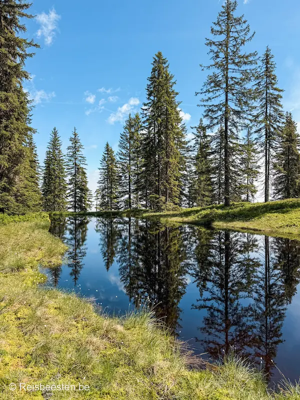 De Wildschönauer Höhenweg